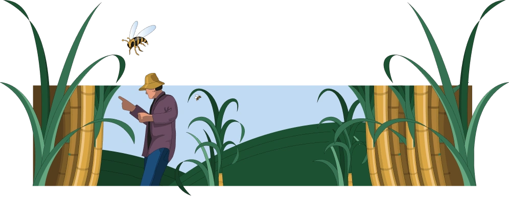 Planting